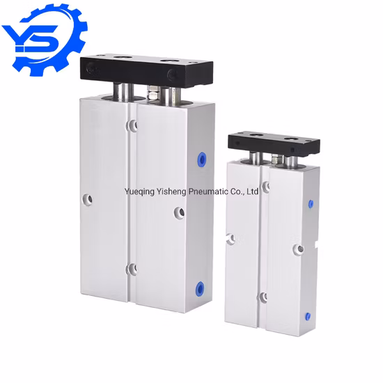 Airtac 유형 Tn 시리즈 트윈 샤프트 양로드 에어 실린더 복동