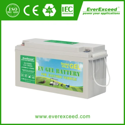 12V 200ah 딥 사이클 원동력 Elektrofahrzeugbatterie 6-Evf-100